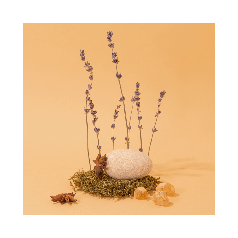 Compagnie de Provence - Mikado Difusor de Perfume Relajante Anís y Lavanda 220 ml